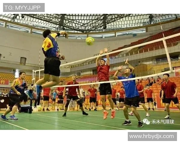 武汉排球队比赛经验深度分析与提升策略探讨